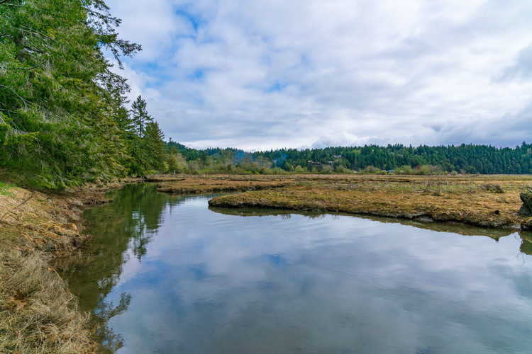 污水cod測試儀 污水cod測試儀