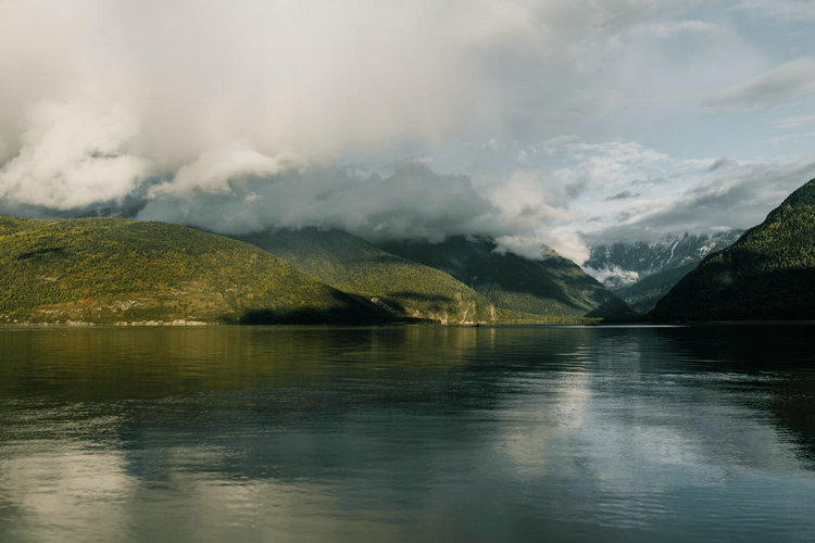 溶解氧測定儀 溶解氧測定儀